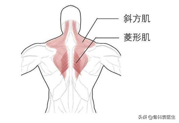 后背疼痛一招就搞定,中医骨科后背疼痛