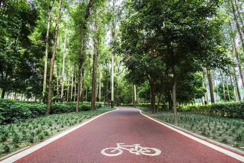 成都周边适合夜游的古镇,成都周边夜游网红地点推荐