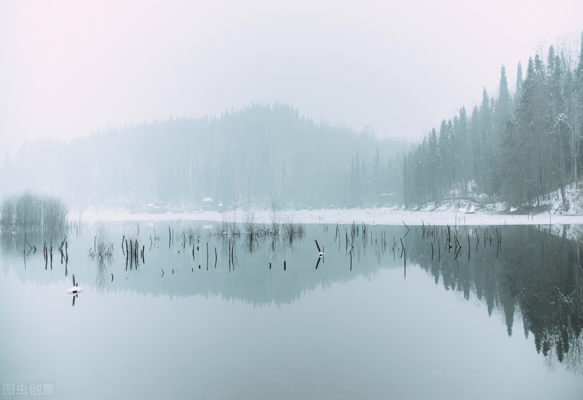 半夜醒来发现床上有一条小蛇,晚上看到一条蛇小说