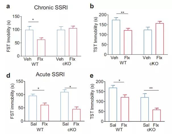 抗抑郁药为什么要7天才有效,为什么抗抑郁药物起效慢