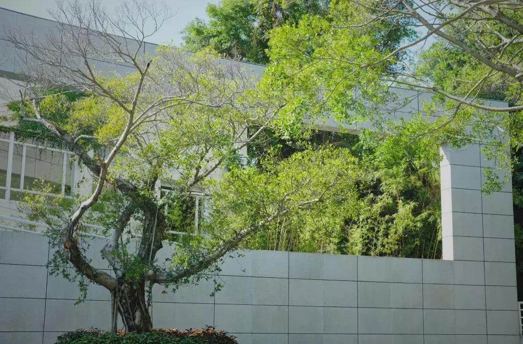 最近的华侨城,独一无二华侨城