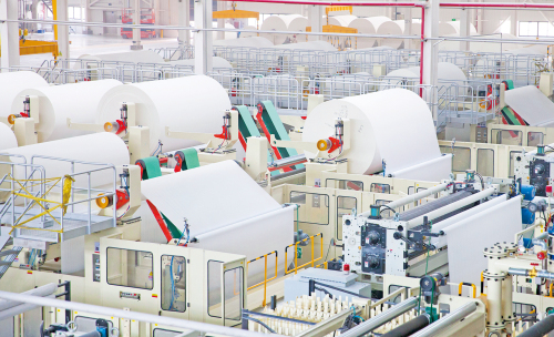 中国卫生纸大王,中国十大纸巾龙头股