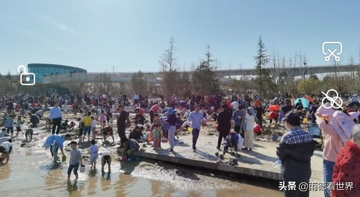 河南郑州蝶湖公园,打卡郑州网红蝶湖森林公园