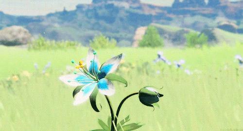 塞尔达传说荒野之息不同武器,塞尔达传说荒野之息不显示地图