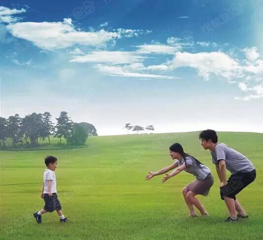 朝花夕拾留住记忆,朝花夕拾岁月如歌