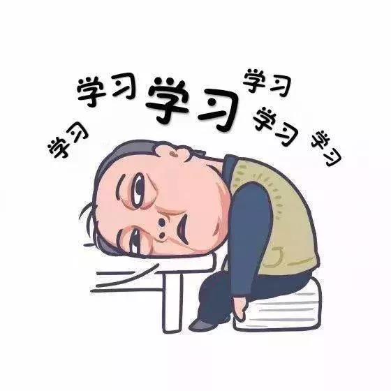 巴赫成长故事,巴赫的故事动画