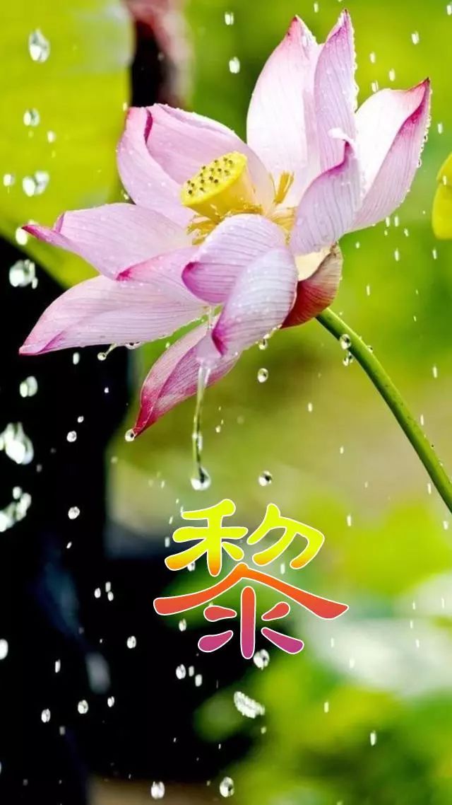 珠宝翡翠艺术字体,翡翠字体图片欣赏