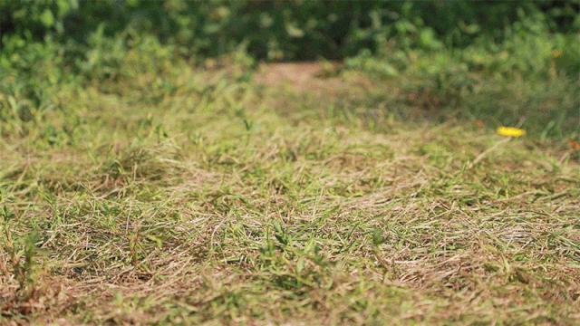 北京人少景美赏秋的公园,北京赏秋中山公园