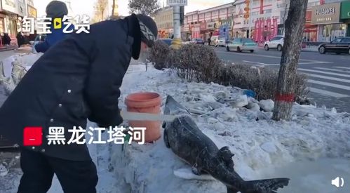 诱骗16岁女孩去ktv上班犯罪,14岁少女被骗ktv