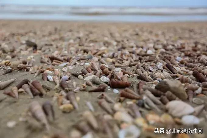 北部湾城市之美——十里金沙铺海岸，平风缓浪是金滩