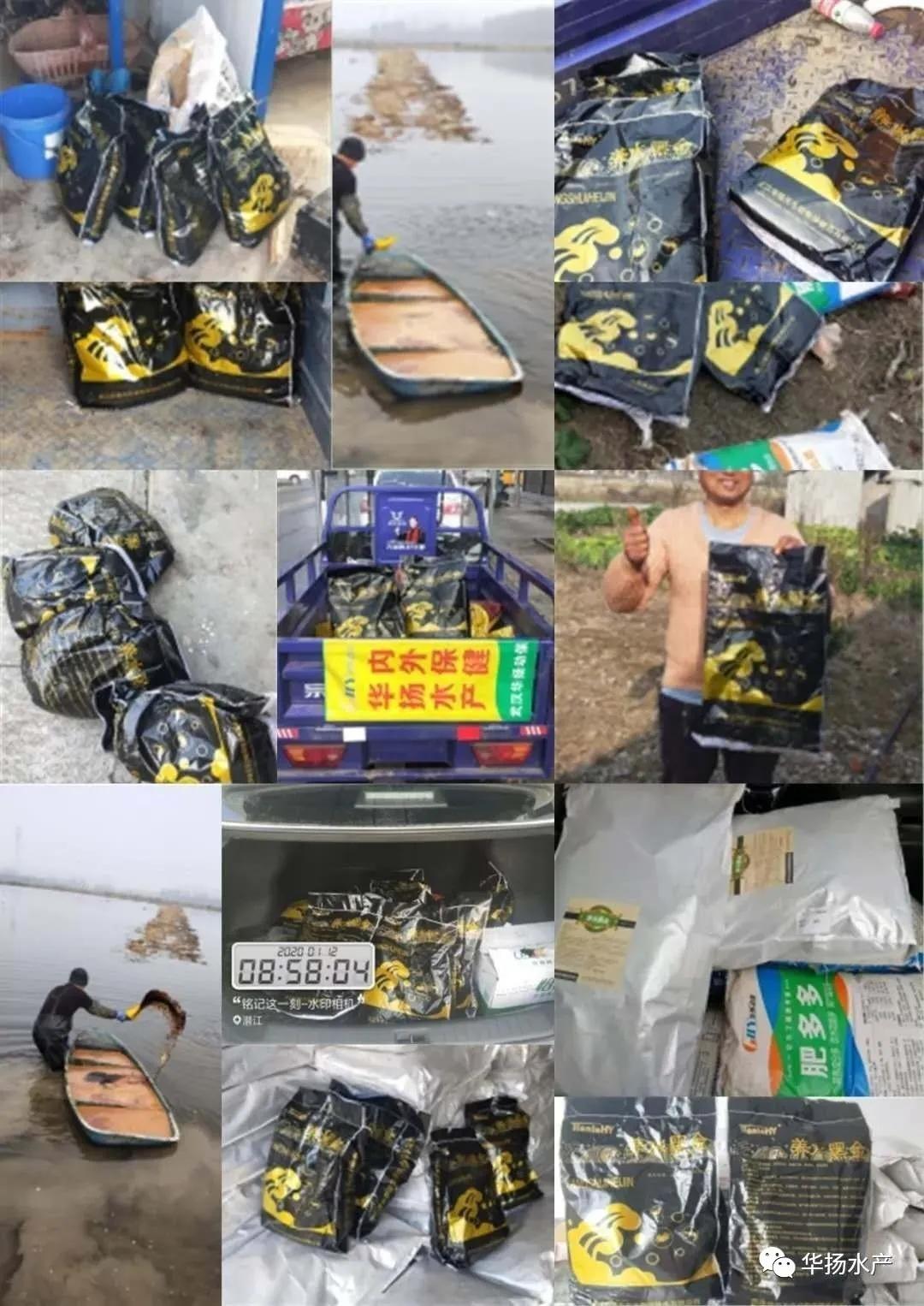 处理青苔最好的办法,水泥地上青苔怎么快速处理干净