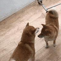 坚持做这些事让你有巨大变化,坚持做这几件事拉开同龄人差距