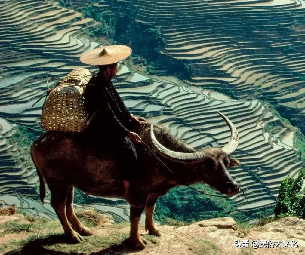 农村俗语屋宅入门步步高,易经中的屋宅入门步步高什么意思