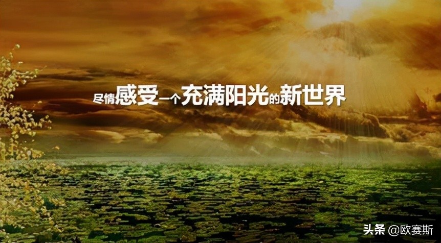 第八届超级品牌日,超级品牌日