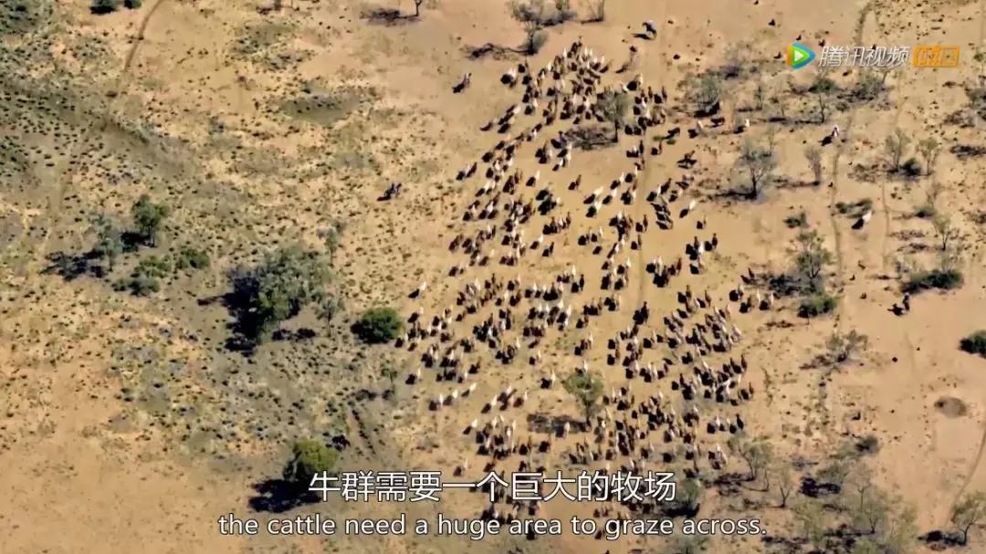 人在逆境要懂得坚持,面对逆境向阳而生