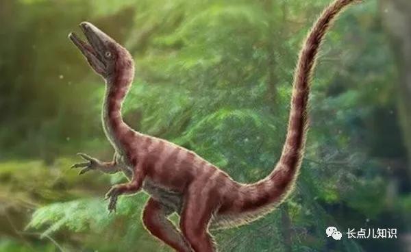 十大最强恐龙第九位特暴龙,比霸王龙还凶的世界十大恐龙