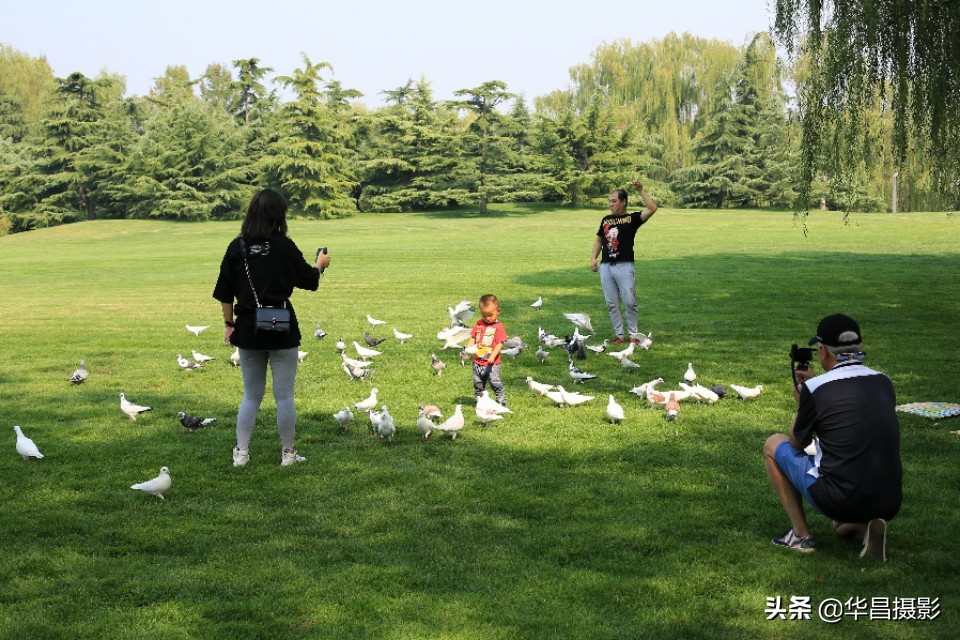 北京紫玉山庄简介,北京紫玉山庄公园
