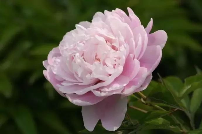 丰台河西80个重点项目,丰台大井即将启动的项目