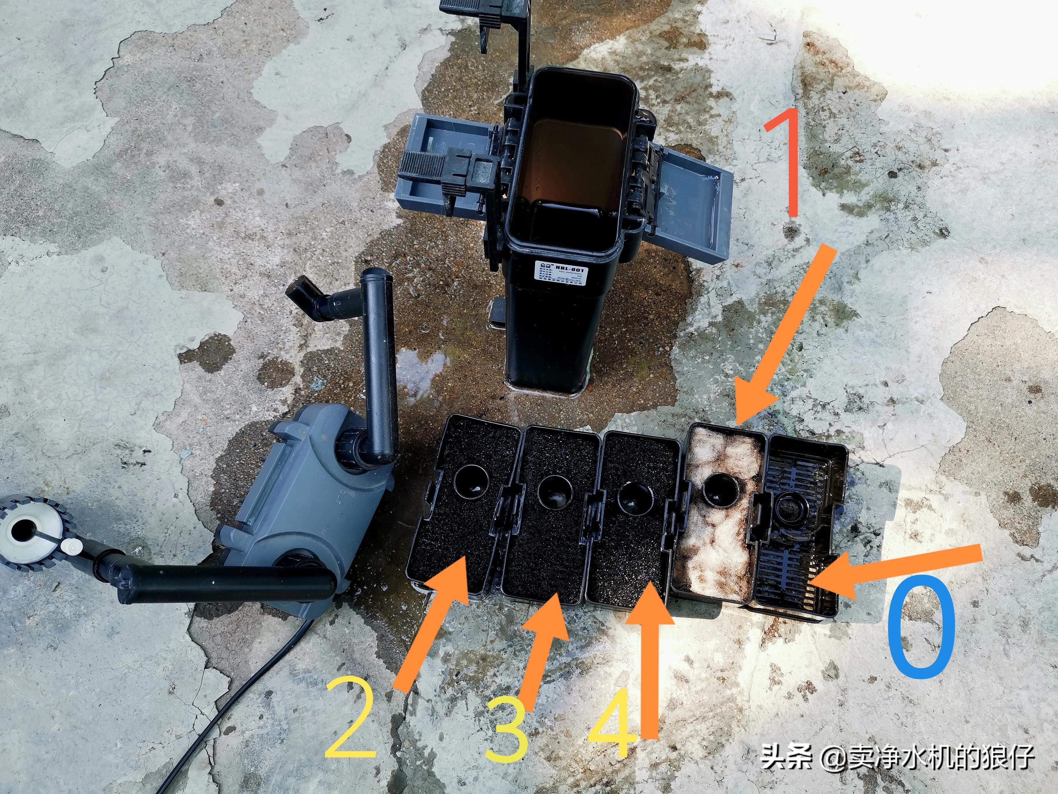 如何让小鱼缸变成空气缸,如何让鱼缸出现空气缸