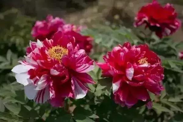 狂飙18级,狂飙18集公路飙车片段在哪