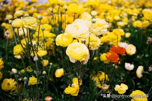 风光摄影自然光线使用方法,自然风景摄影中常用的几种光线