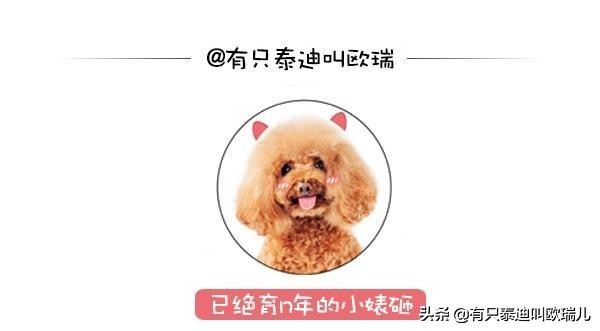 烧烤店迎客递菜单打扫好辛苦？黑拉拉：让专业的来！