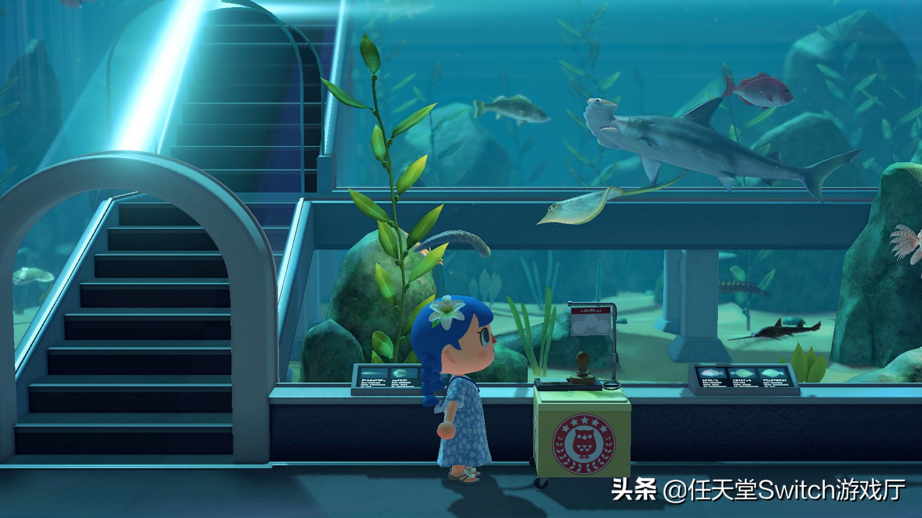 动森会更新吗,动森更新活动