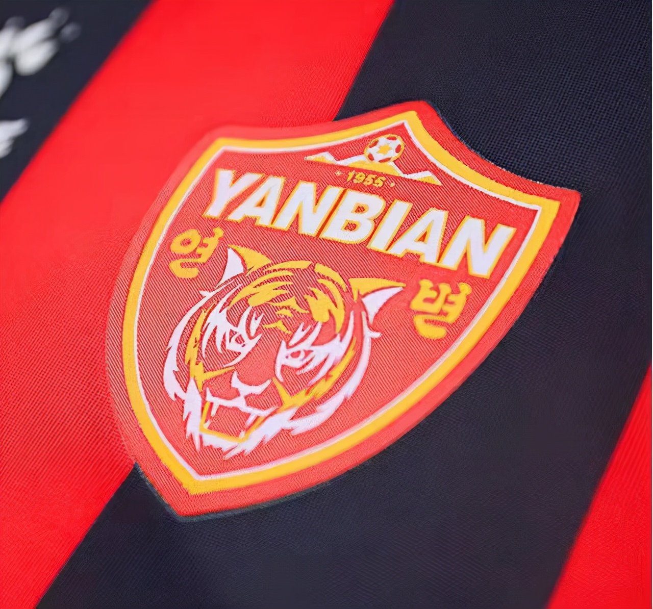 吉林东北虎十佳球,吉林东北虎阵容