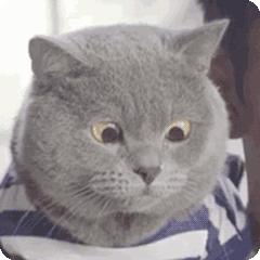 25岁男子胸部发育,25岁小伙胸部溢乳多年