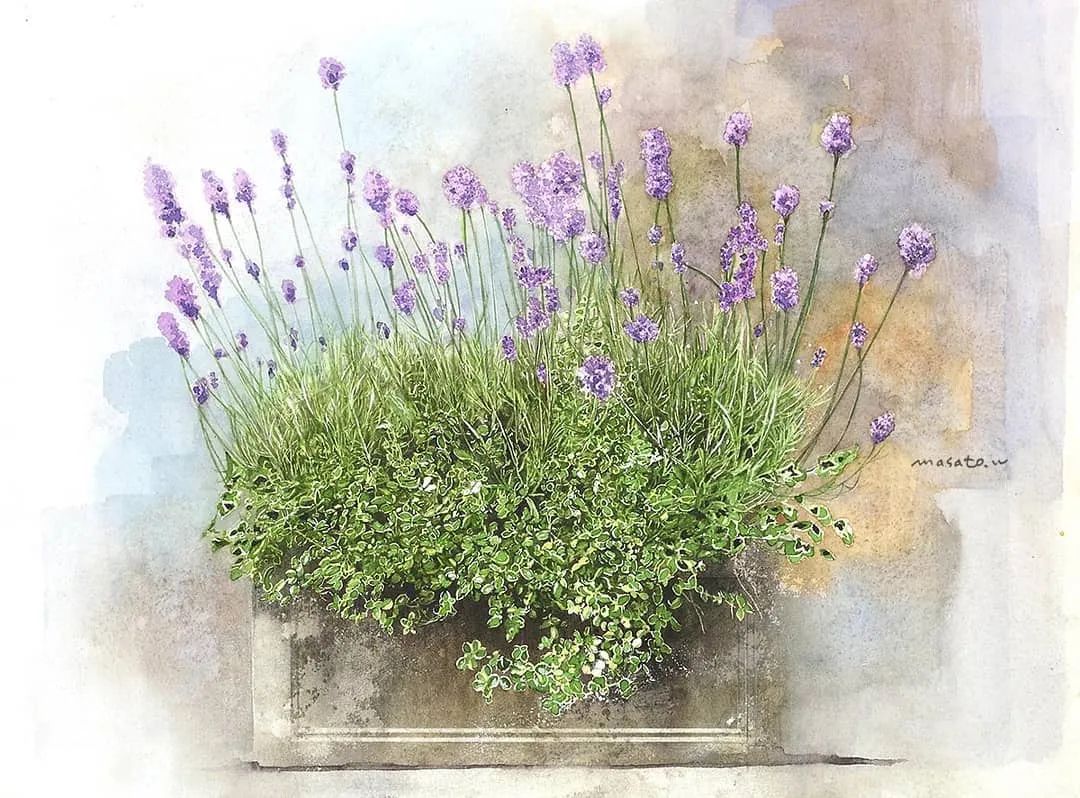 水彩大师笔下的花卉,简单唯美的水彩花卉