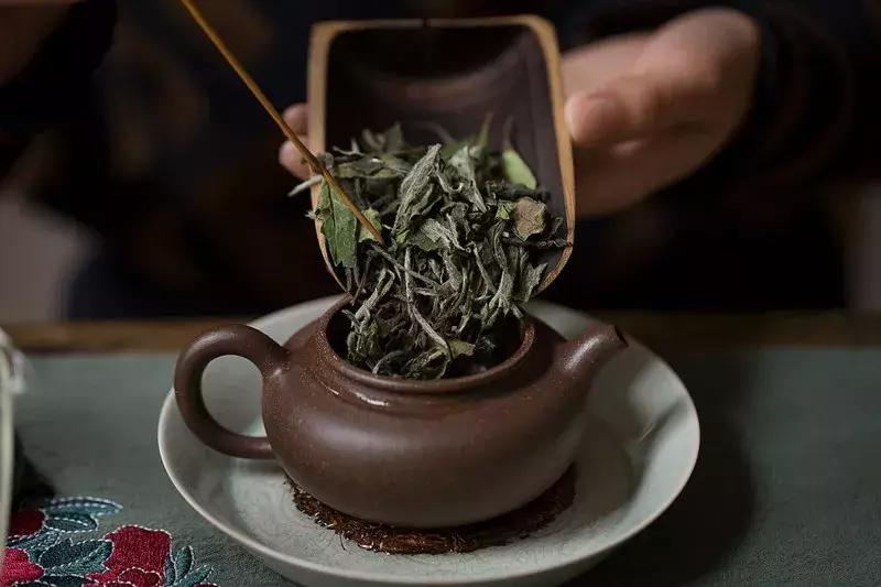 茶叶受潮怎么办7种方法来救你,西湖龙井茶叶受潮了可以晒吗