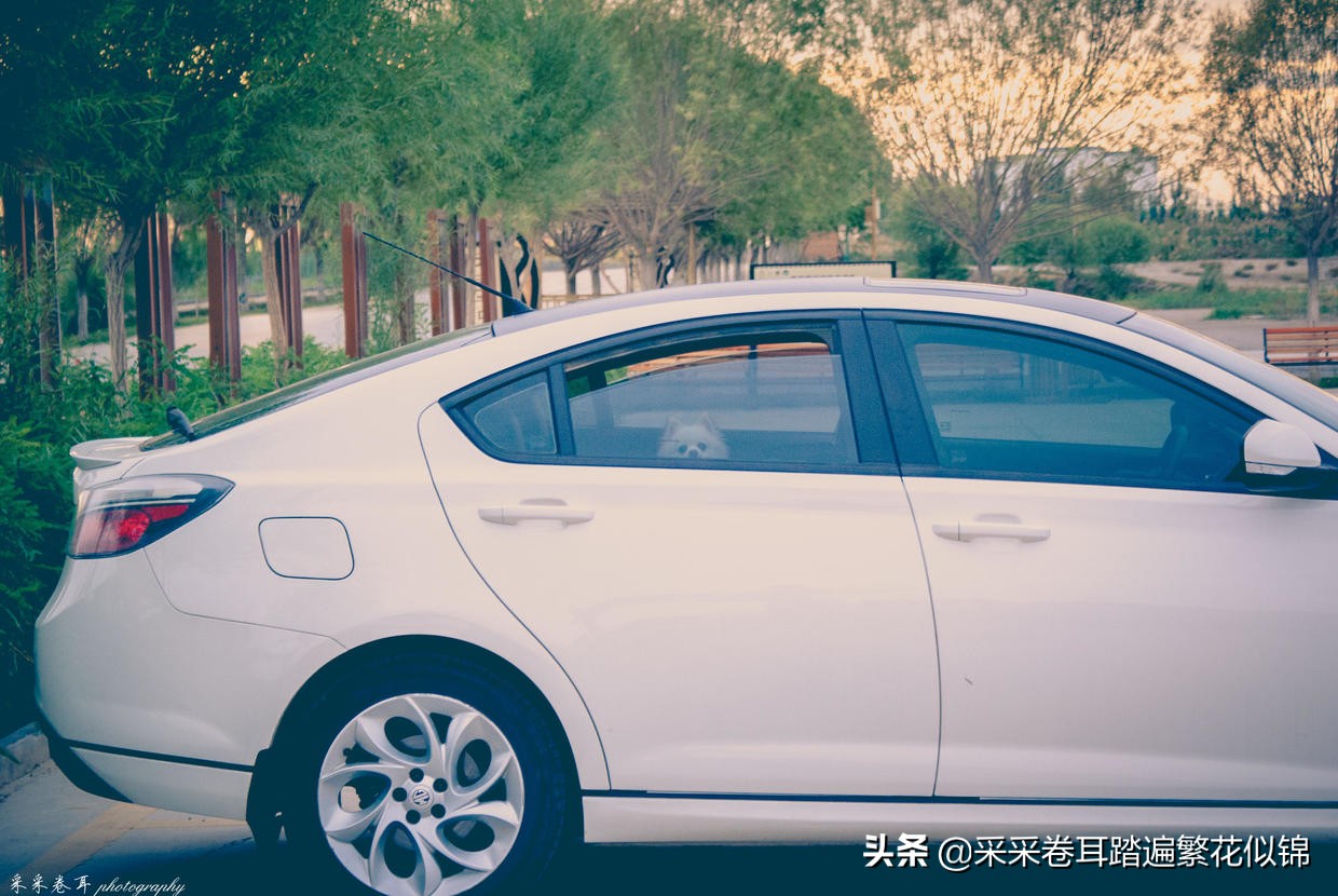 慢游景点,博斯腾湖景点打卡