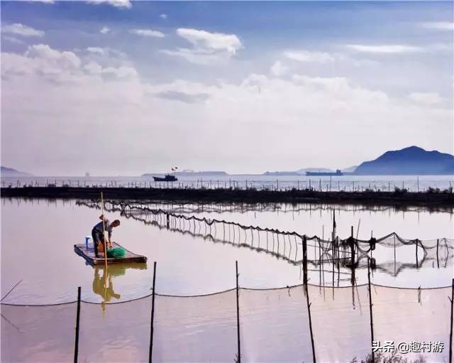 浙江人怎样吃海鲜,浙江吃海鲜很简单