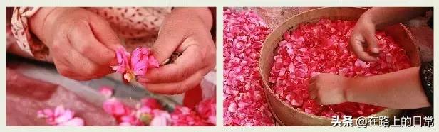 被低估的特产有哪些,被人低估的地方特产