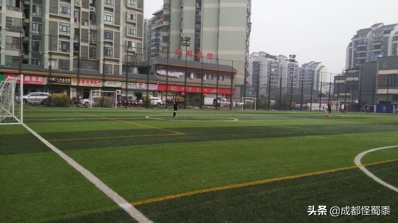 成都室内大型运动场地,周末可以打羽毛球的场子