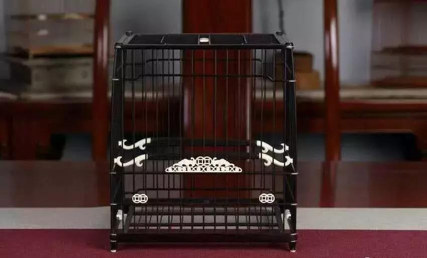 捉小鸟的鸟笼制作视频,铁鸟笼制作方法全过程视频