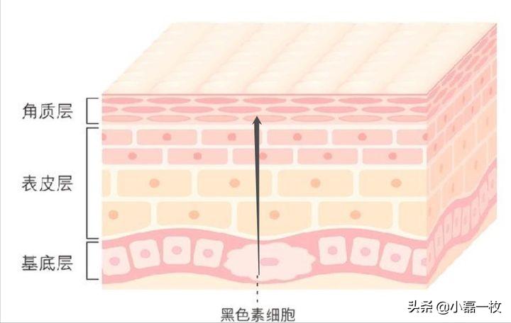 熬夜脸色蜡黄怎么改善最快最有效,脸熬夜蜡黄暗沉怎么调理
