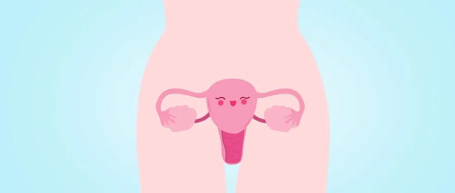 上皮性卵巢癌中的少见类型，治疗一样有法可依