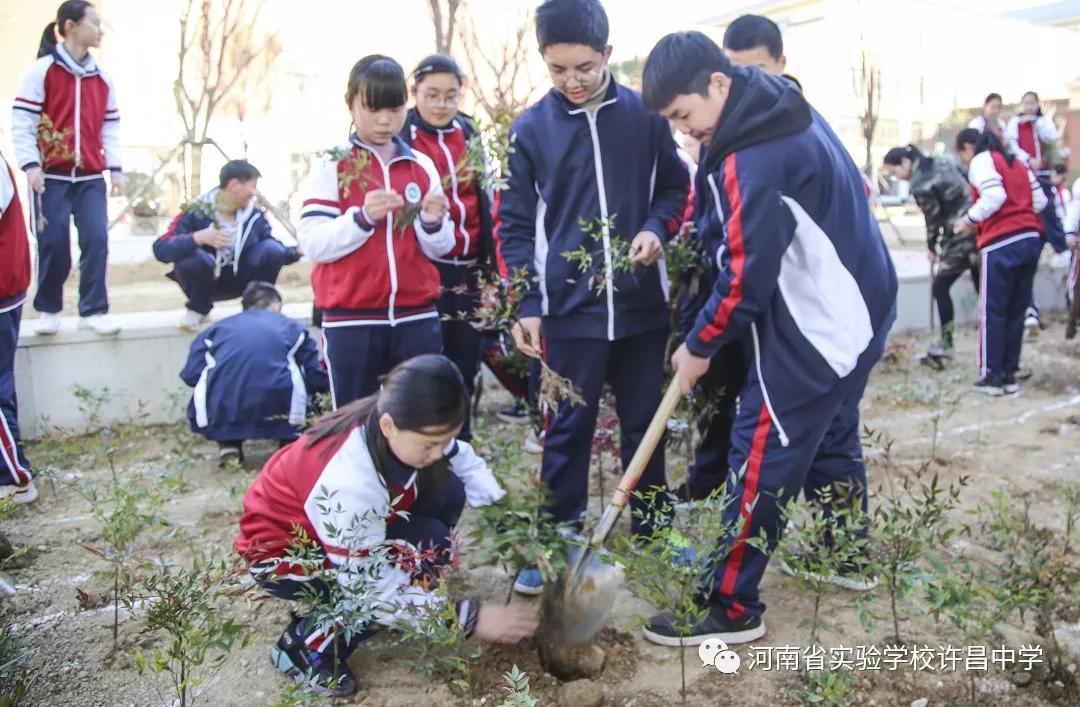 许昌市实验中学招生电话,许昌魏都区实验中学招生公告