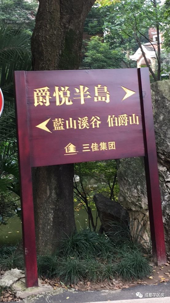 天府新区第五小学排名,天府新区a区学区房