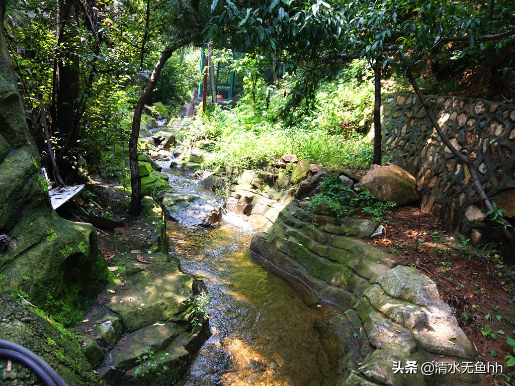 铁马冰河入梦来是什么意思,铁马冰河入梦来的上一句是什么
