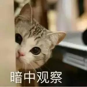 与亲子沟通的技巧,如何能使亲子沟通更有效