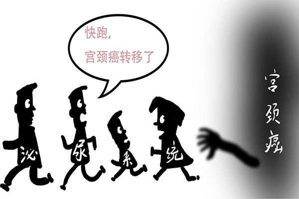 怎么预防hpv病毒传染,妇产科医生告诉你如何预防hpv病毒