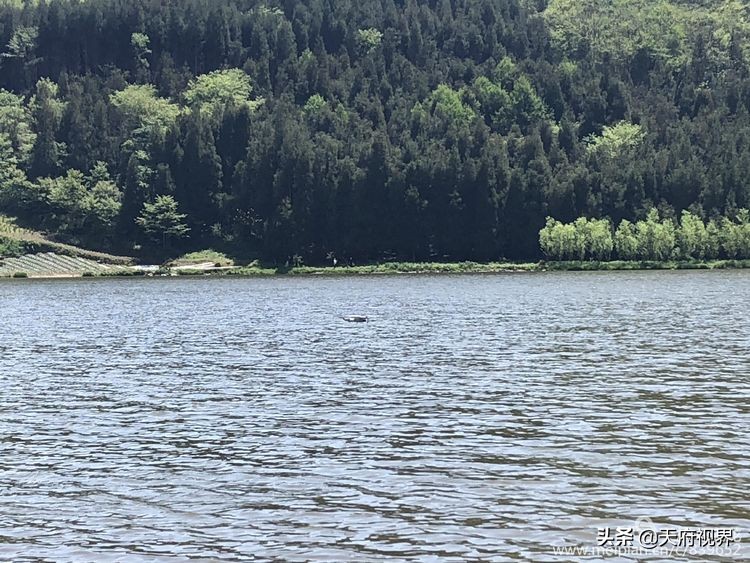 中国百慕大黑竹沟了解一下,穿越黑竹沟揭秘中国百慕大