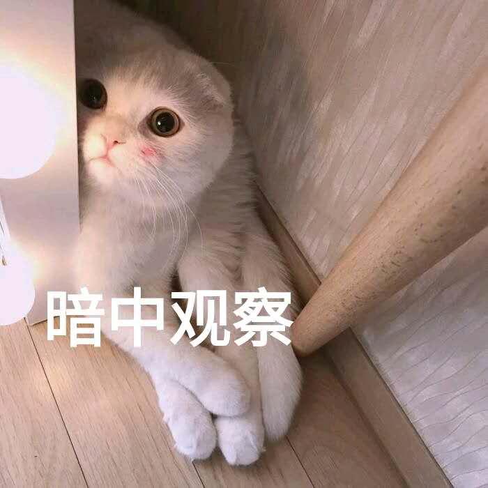 有人怀疑你的化妆品是假的,不小心买到假的化妆品还能用吗