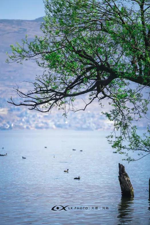 高效摄影,摄影慢动作