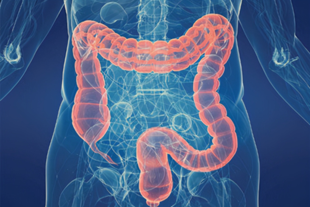 大肠癌科普知识结肠息肉知多少,大肠疾病分类及图片