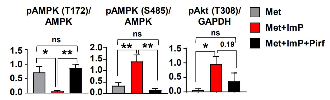 韩国三星保健品,韩国二甲双胍
