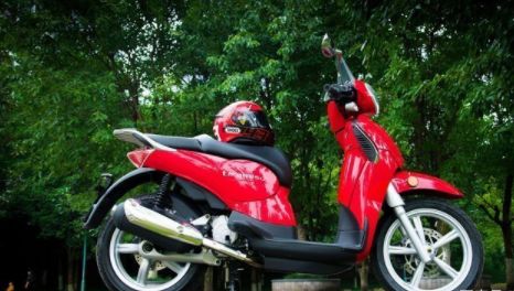 金城圣甲虫出口,金城圣甲虫200座高