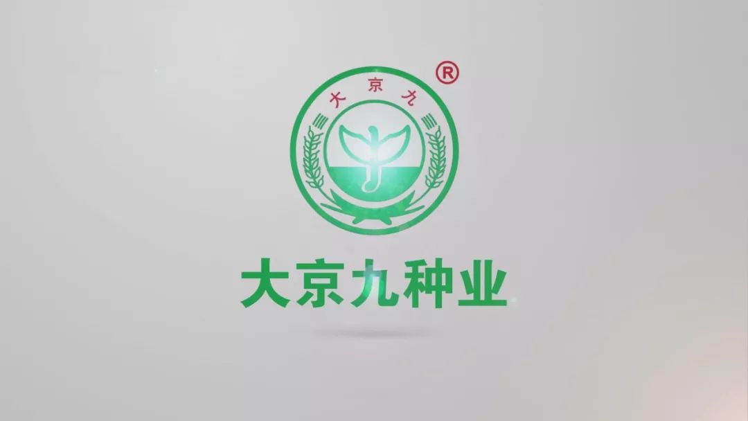 大数据行业查询,查询大数据行业信息